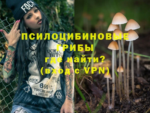 гашик Володарск