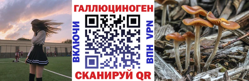 Купить где Красавино Галлюциногенные грибы MAGIC MUSHROOMS