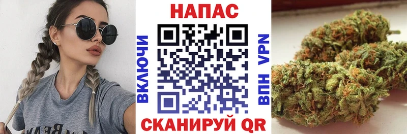 Купить где  Красавино  Бошки Шишки Amnesia 